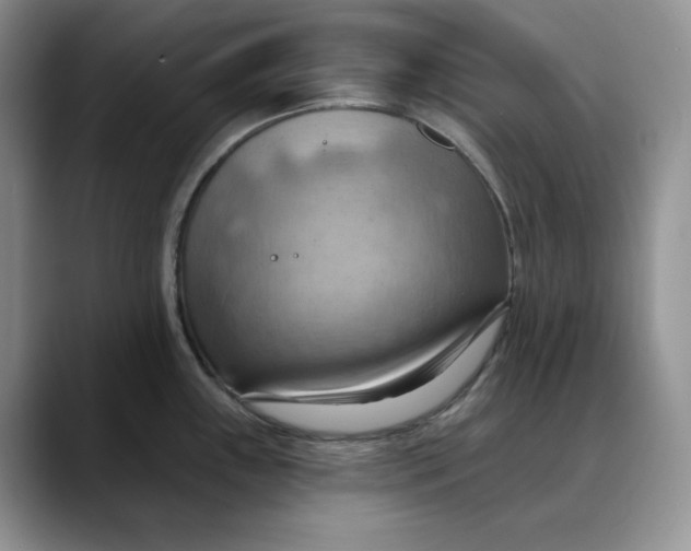 X0000088491243200706121543