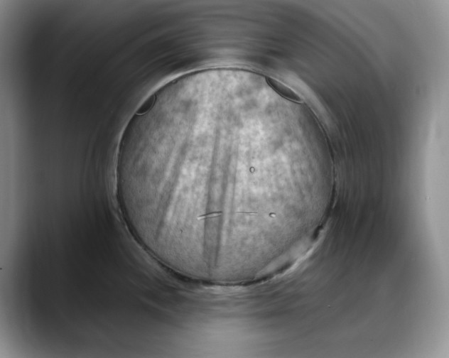 X0000088491244200706121543