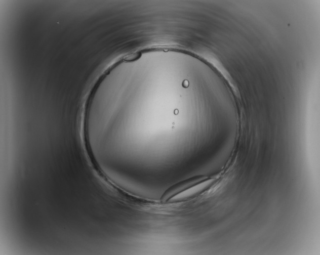 X0000088491245200706121543