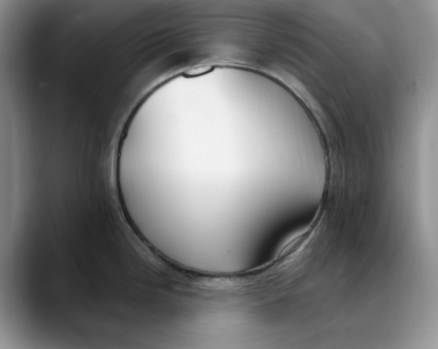 X0000088491246200706121543