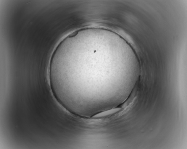 X0000088491247200706121543