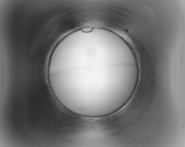 X0000088491248200706121543