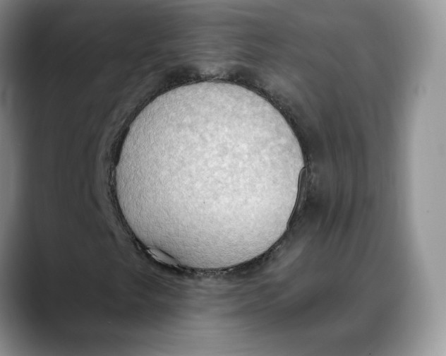 X0000088491249200706121542