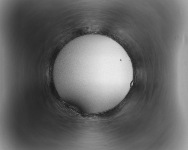 X0000088491250200706121542