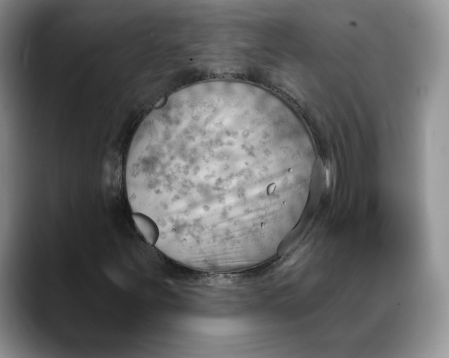 X0000088491251200706121542