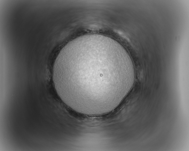 X0000088491253200706121542