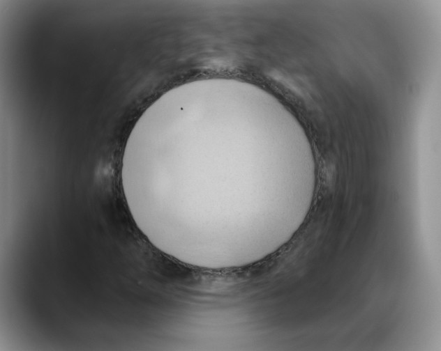 X0000088491254200706121542