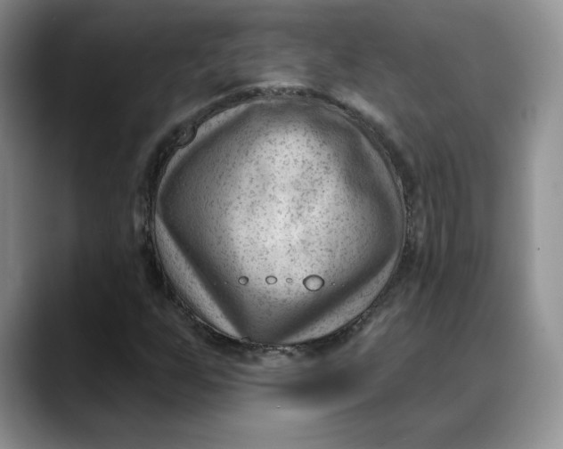 X0000088491255200706121542