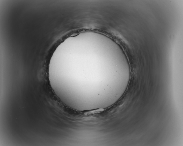 X0000088491256200706121542