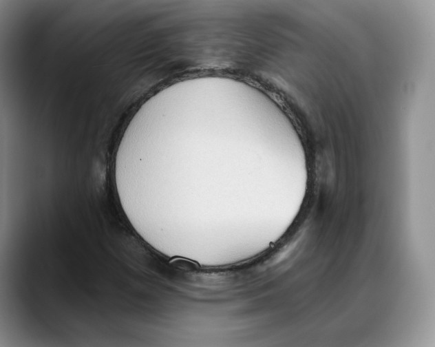 X0000088491257200706121542