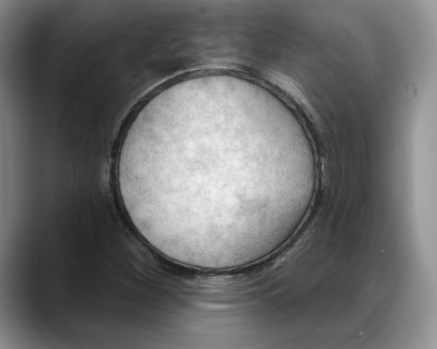 X0000088491260200706121542