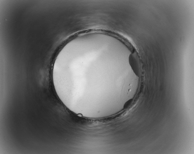 X0000088491263200706121542