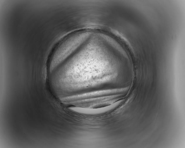 X0000088491267200706121542