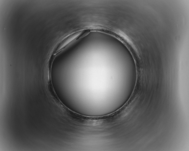 X0000088491269200706121542