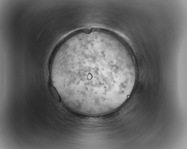 X0000088491271200706121542