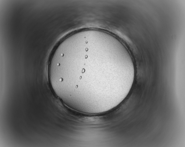 X0000088491272200706121542