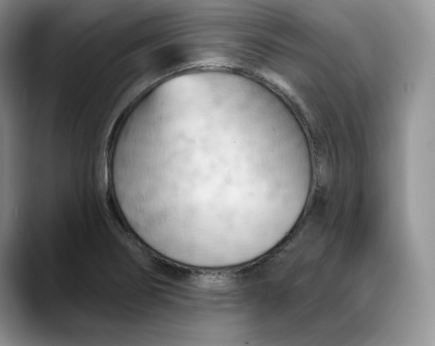 X0000088491274200706121542