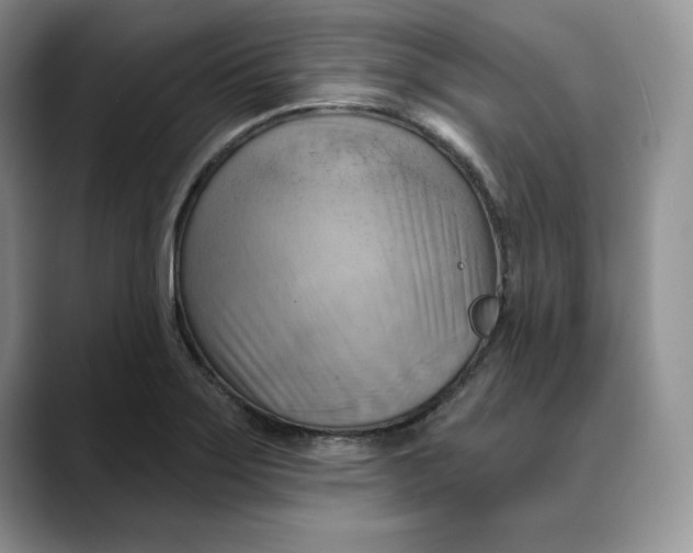 X0000088491275200706121542