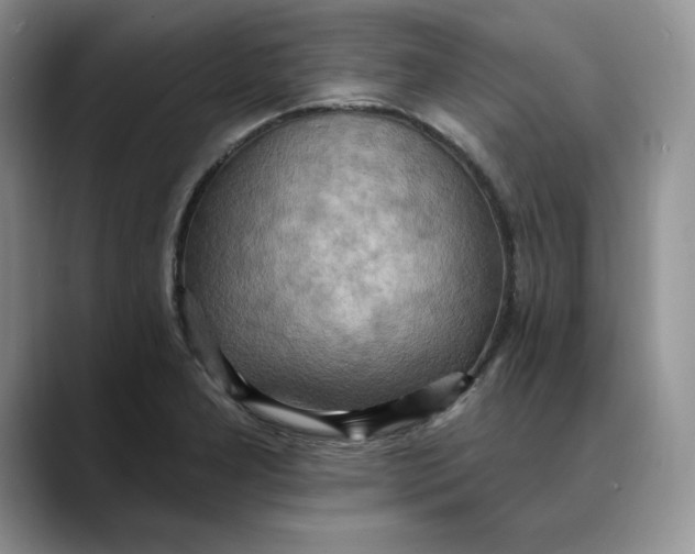 X0000088491277200706121542