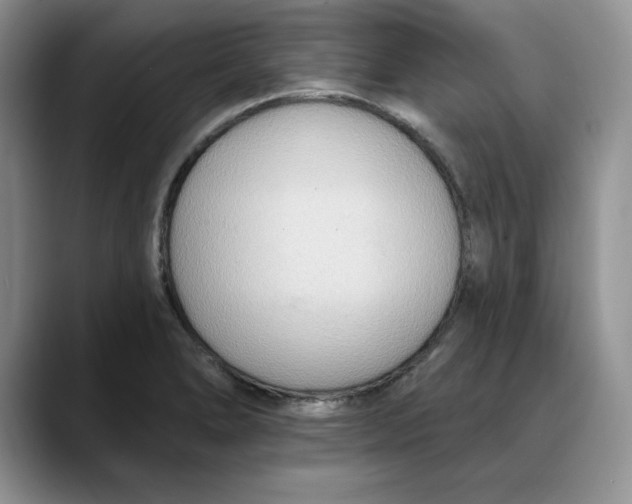 X0000088491278200706121542