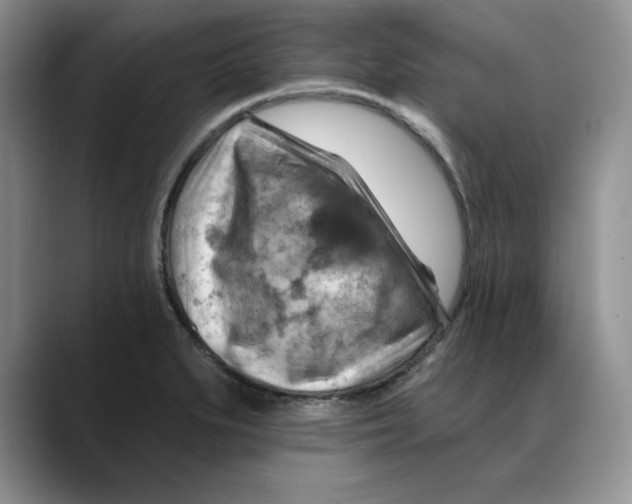 X0000088491279200706121542