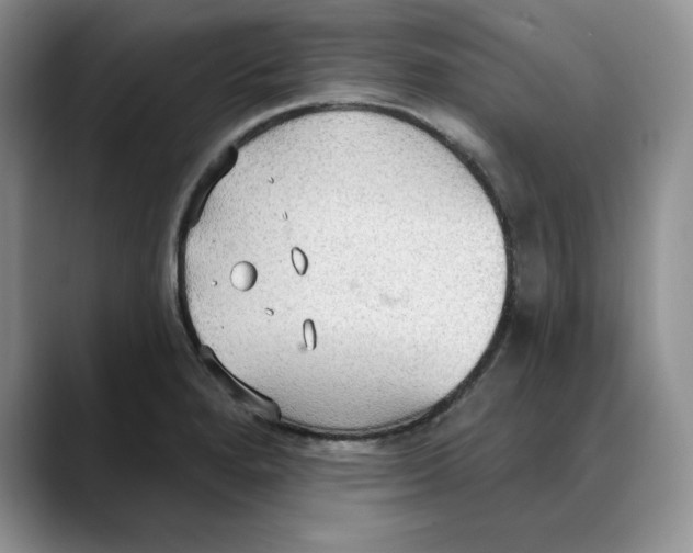 X0000088491280200706121542