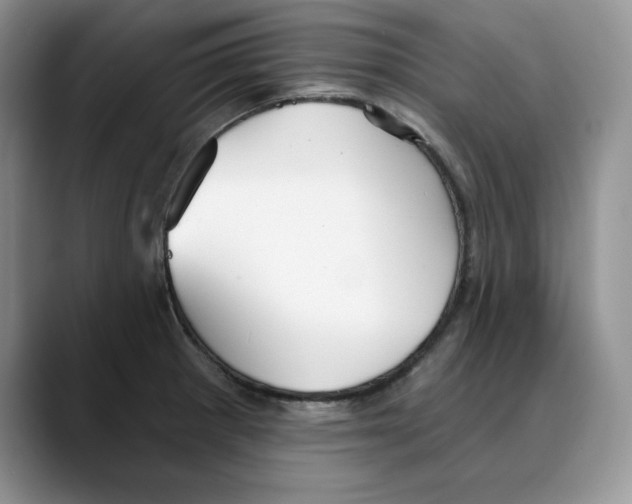 X0000088491281200706121542