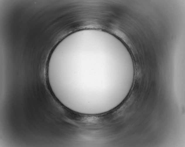 X0000088491282200706121542