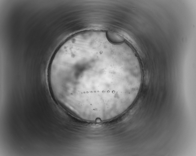 X0000088491283200706121542