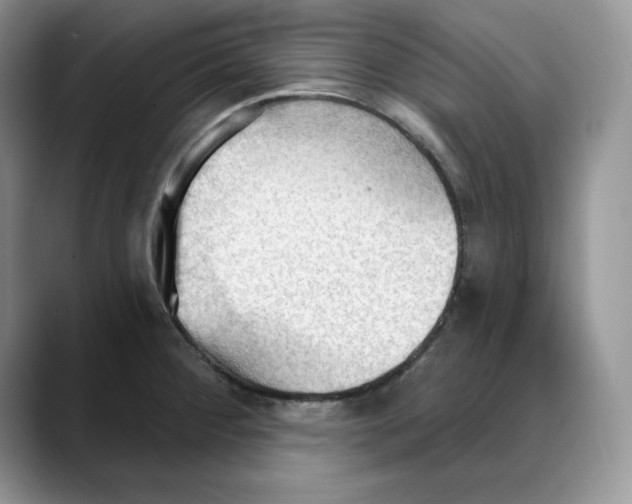 X0000088491284200706121542