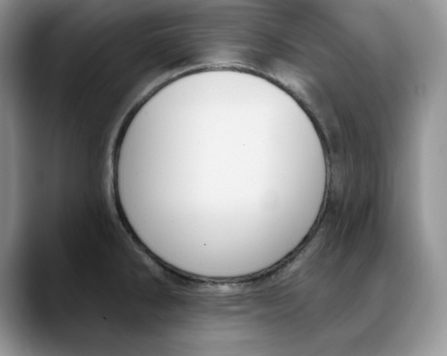 X0000088491286200706121542