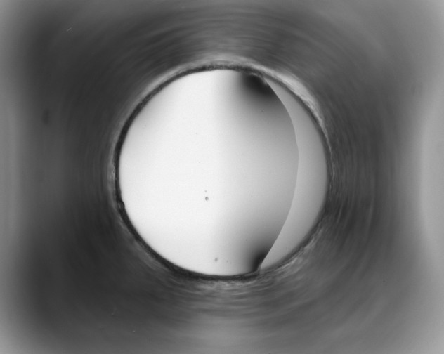 X0000088491287200706121542