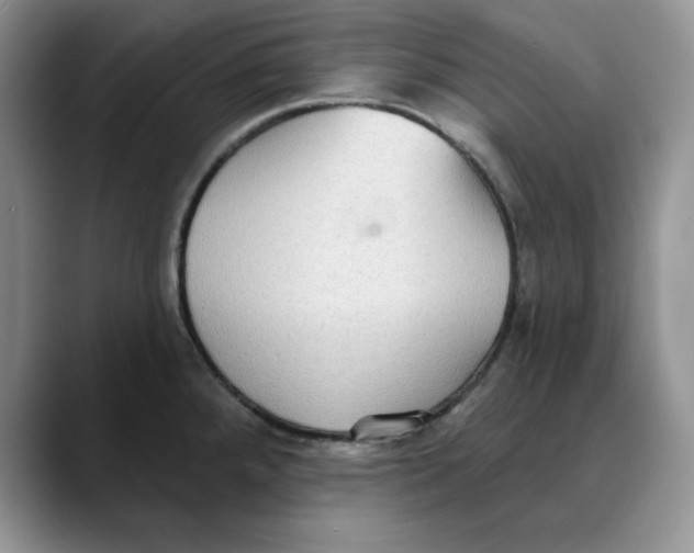 X0000088491288200706121542