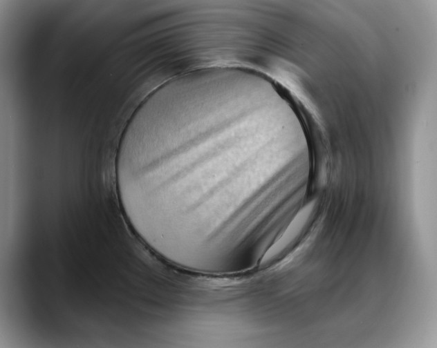 X0000088491289200706121542