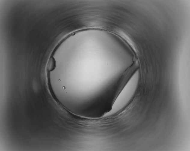 X0000088491291200706121542