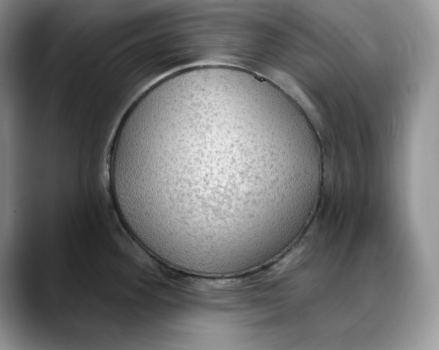 X0000088491292200706121542