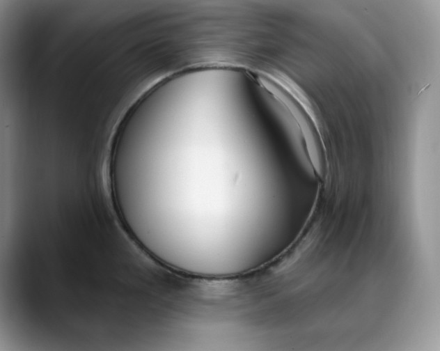 X0000088491293200706121542