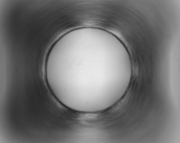 X0000088491294200706121542