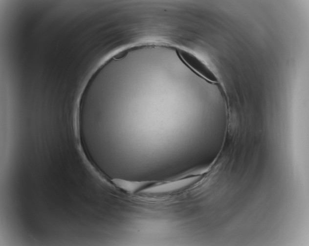 X0000088491295200706121542