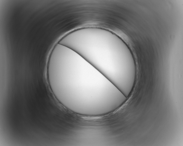 X0000088491296200706121542