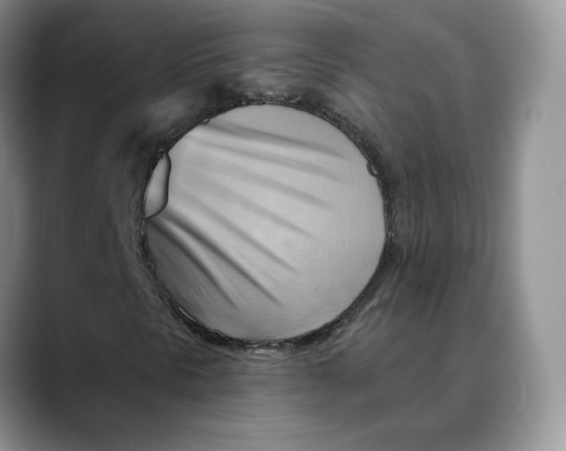 X0000088491297200706121541