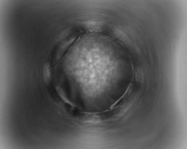 X0000088491298200706121541