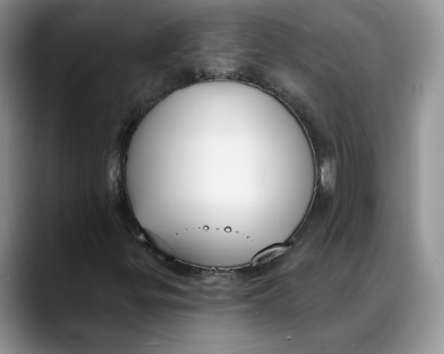 X0000088491299200706121541