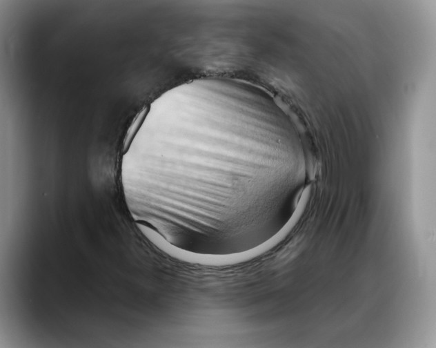 X0000088491300200706121541