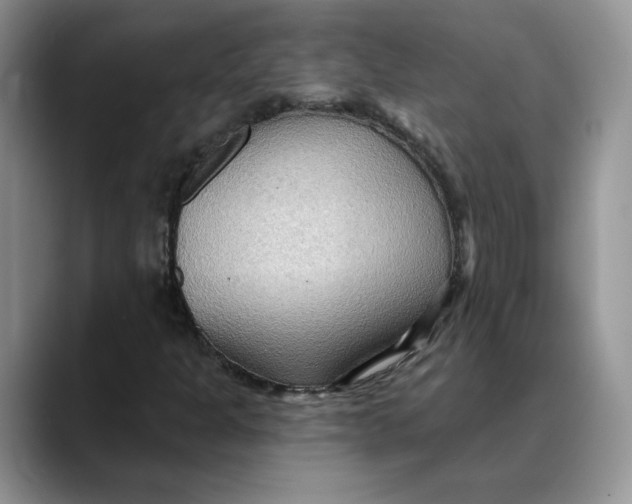 X0000088491301200706121541