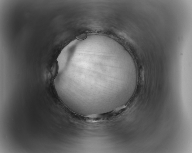 X0000088491302200706121541