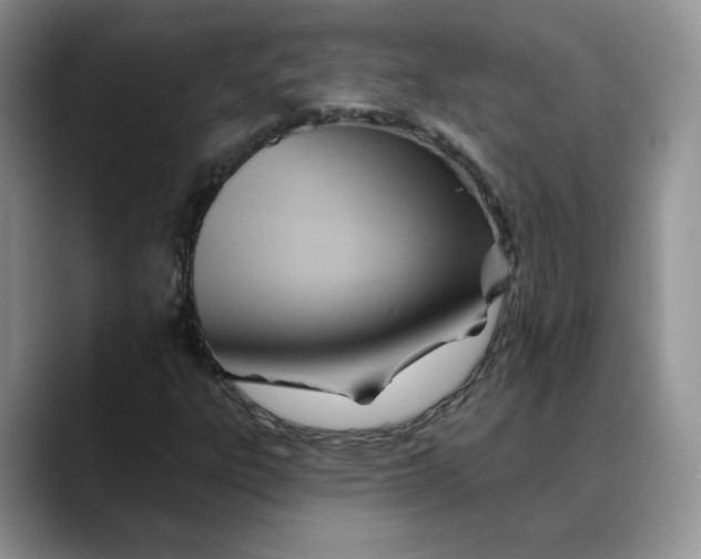 X0000088491303200706121541