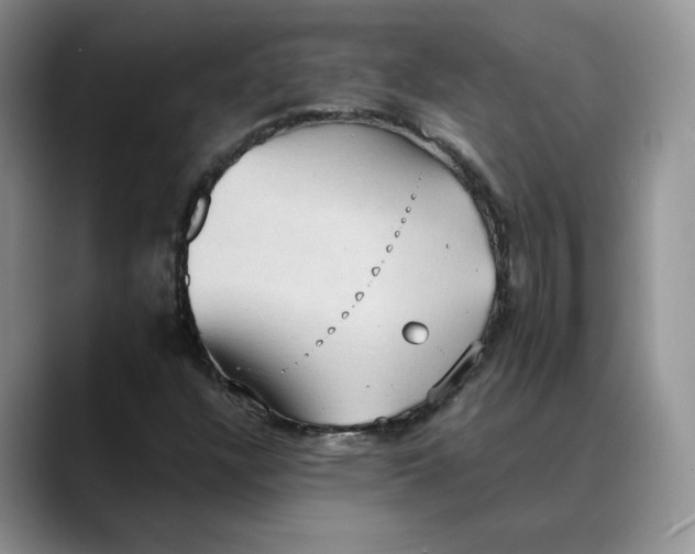 X0000088491304200706121541