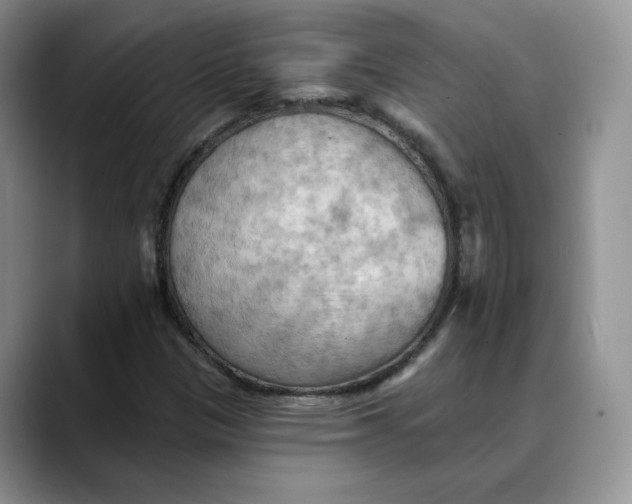 X0000088491305200706121541