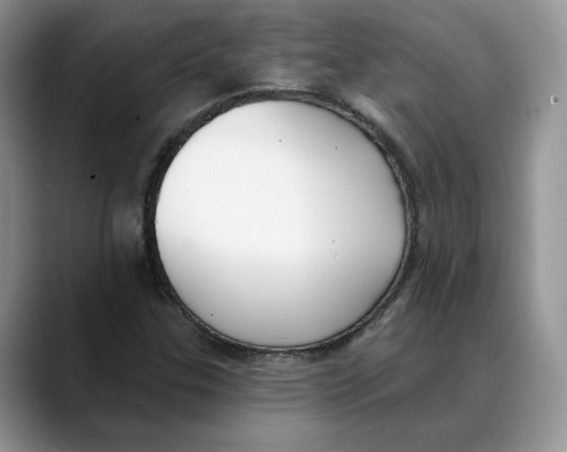 X0000088491307200706121542